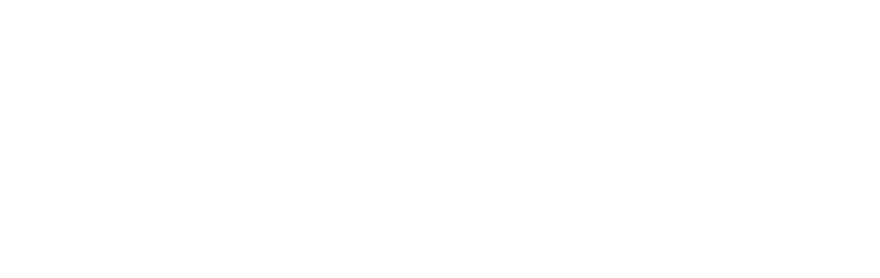 Strategic9 logo-text